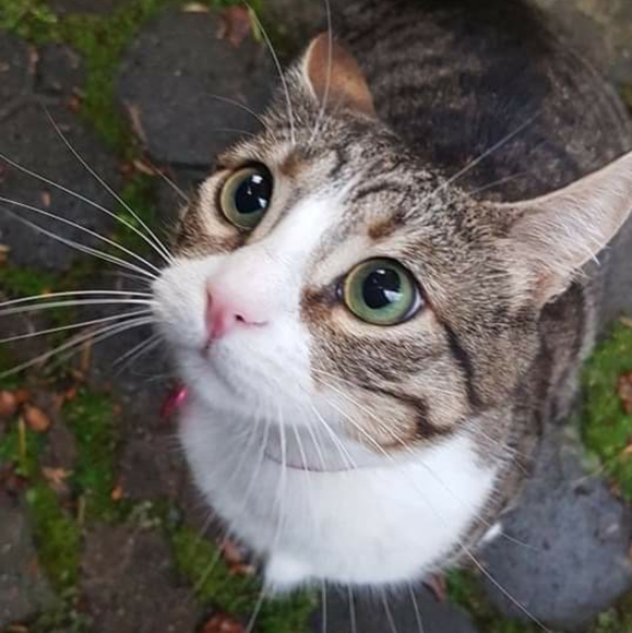 Rare Vtg Hand-Woven by Blind Girls Peasant Blouse - Picture 5 of 7